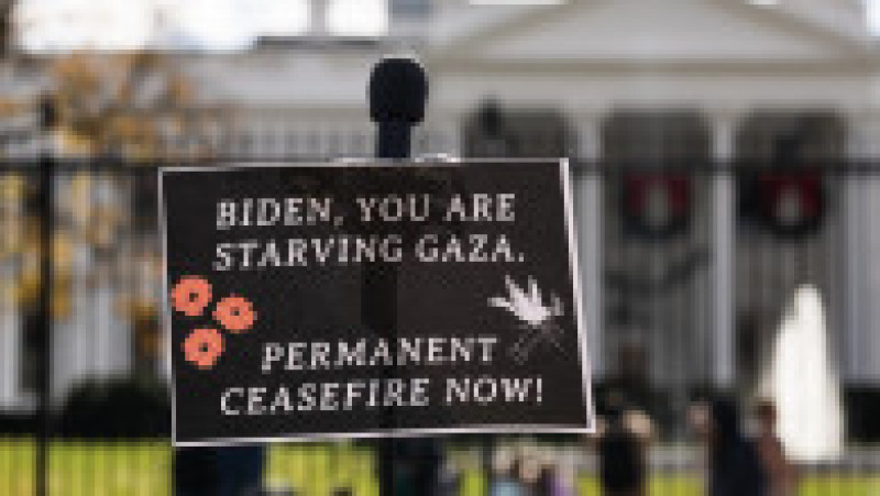 Cynthia Nixon cere un armistiţiu permanent în Gaza. Foto: Profimedia Images | Poza 4 din 16