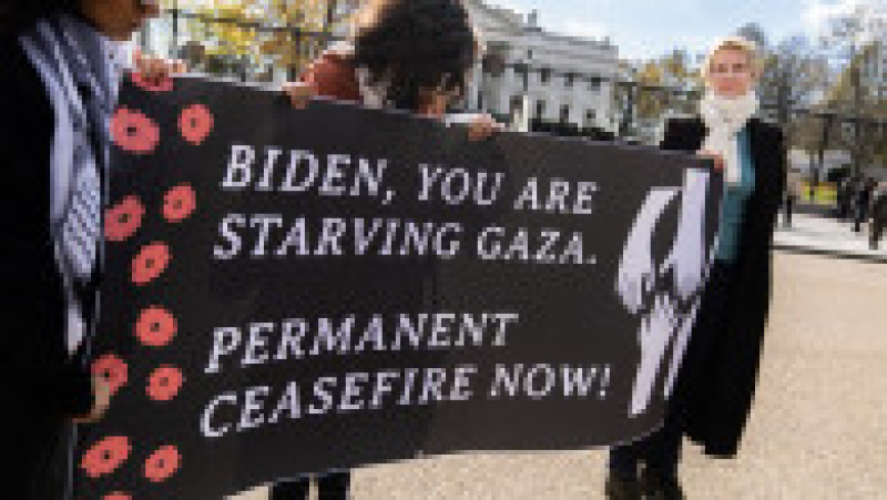 Cynthia Nixon cere un armistiţiu permanent în Gaza. Foto: Profimedia Images | Poza 6 din 16