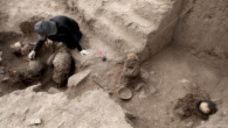 Cercetătorii cred că trupurile mumificate provin din cultura Ychsma, care s-a dezvoltat pe coasta centrală din Peru, înainte de ascensiunea Imperiului Inca. Foto: Profimedia | Poza 7 din 10