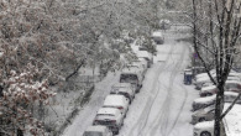 Cum a arătat Bucureștiul în prima zi Ninge viscolit în Capitală, iar stratul de zăpadă măsoară zece centimetri. FOTO: INQUAM PHOTOS - Mălina Norocea | Poza 15 din 15