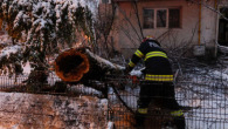 Copac căzut în urma ninsorii și tăiat de pompieri în București, 7 decembrie 2023. Inquam Photos / George Călin | Poza 12 din 15
