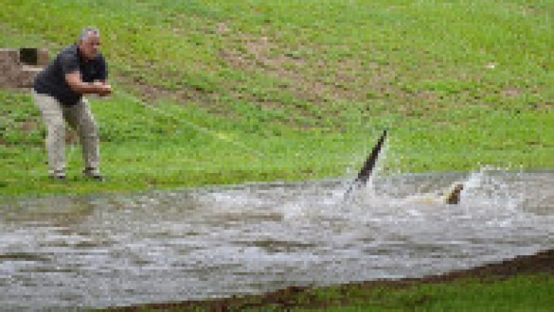 Inundații ca niciodată în Australia. Puhoaiele au adus crocodili în orașe, au inundat aeroporturi și drumuri. FOTO: Profimedia Images | Poza 11 din 14
