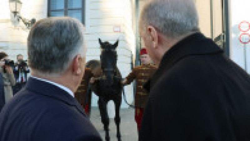 Recep Erdogan a primit cadou de la Viktor Orban un cal de rasă maghiară. FOTO: Profimedia Images | Poza 6 din 6