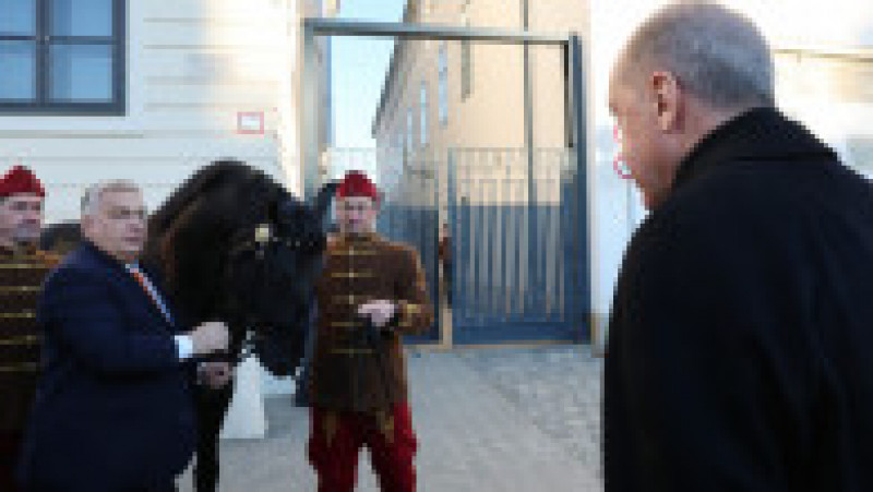 Recep Erdogan a primit cadou de la Viktor Orban un cal de rasă maghiară. FOTO: Profimedia Images | Poza 3 din 6