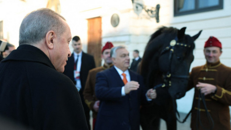 Recep Erdogan a primit cadou de la Viktor Orban un cal de rasă maghiară. FOTO: Profimedia Images