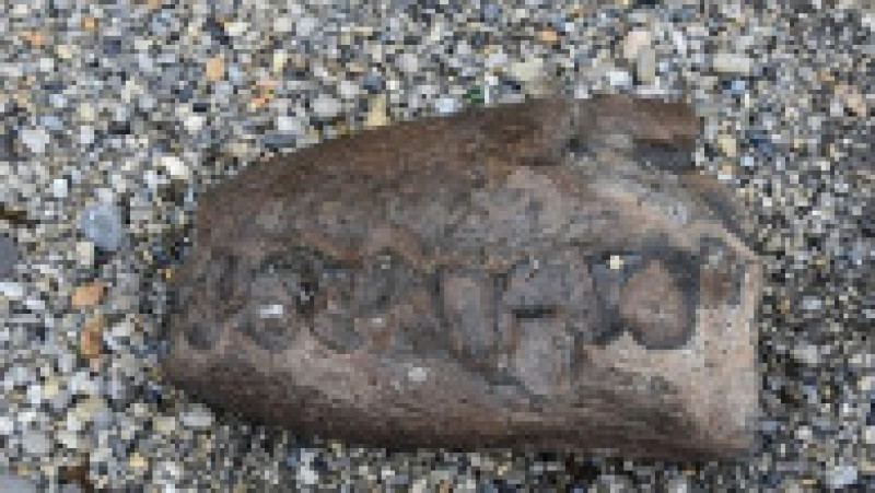 Prima parte a fosilei a fost descoperită pe plajă. Captură foto: Twitter /
Paul de la Salle | Poza 7 din 11