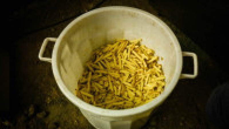 Fermierii din Franța și-au instalat tabere în jurul Parisului și au încins grătarele. Blocaje și cozi de 100 de kilometri pe autostrăzi. FOTO: Profimedia Images | Poza 8 din 19