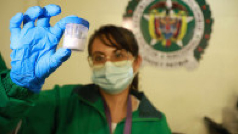 130 de broaște otrăvitoare găsite în bagajul unei femei, într-un aeroport din Columbia FOTO:X/ Secretaría de Ambiente | Poza 6 din 8