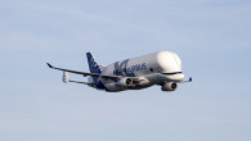 BelugaXL a fost proiectat să transporte simultan un set complet de aripi A350. Sursa foto: Profimedia Images | Poza 7 din 7