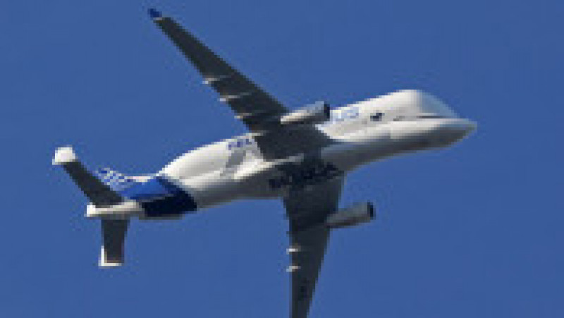 BelugaXL a fost proiectat să transporte simultan un set complet de aripi A350. Sursa foto: Profimedia Images | Poza 1 din 7