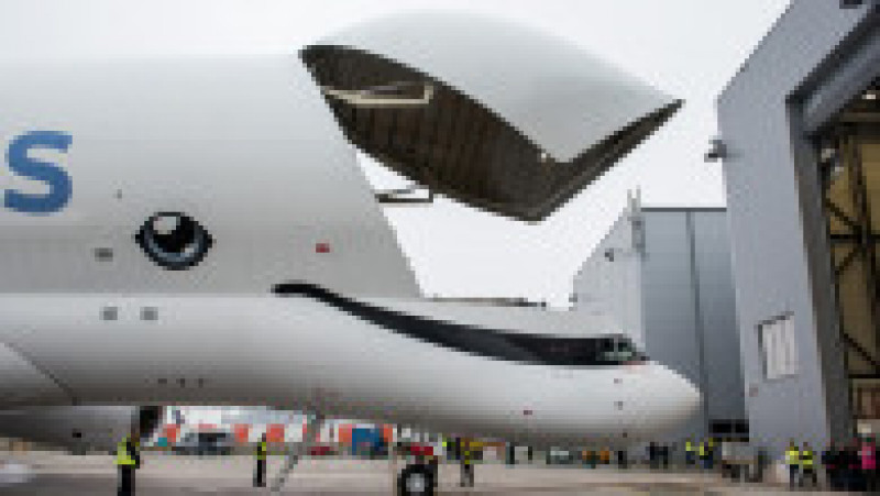 BelugaXL a fost proiectat să transporte simultan un set complet de aripi A350. Sursa foto: Profimedia Images | Poza 6 din 7