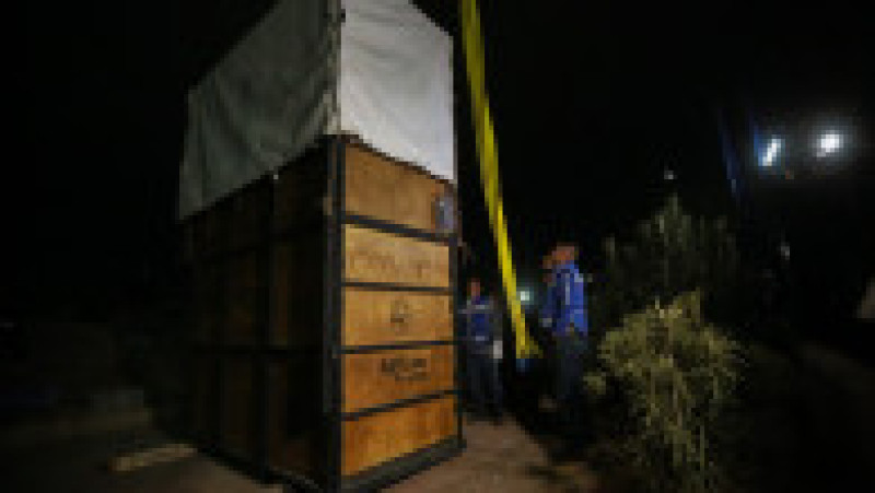 Benito, o girafă care suferea de frig în nordul Mexicului, a făcut o călătorie de 2.000 de kilometri spre sud, în căutarea unor temperaturi mai prietenoase FOTO: Profimedia Images | Poza 14 din 19