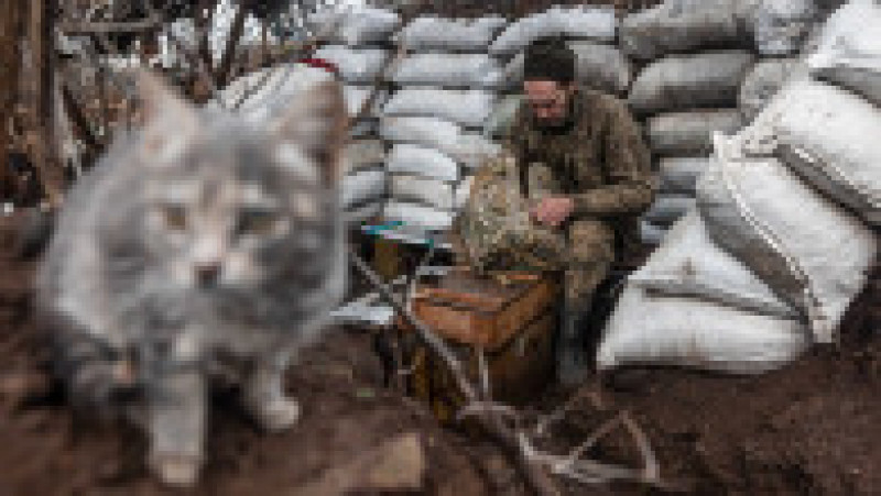 Un soldat ucrainean cu o pisică apără localitatea Niu York din Donețk. Foto: Profimedia Images | Poza 20 din 23