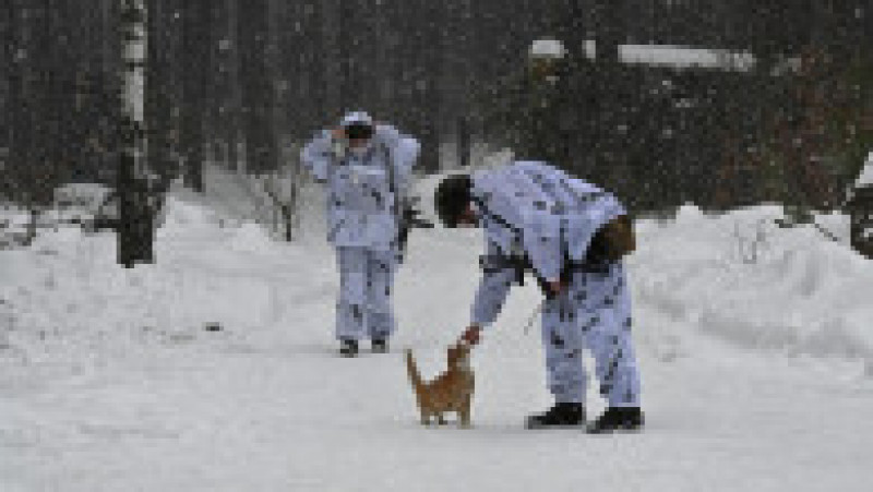 Soldați care apără granița dintre Rusia și Ucraina cu o pisică. Foto: Profimedia Images | Poza 10 din 23