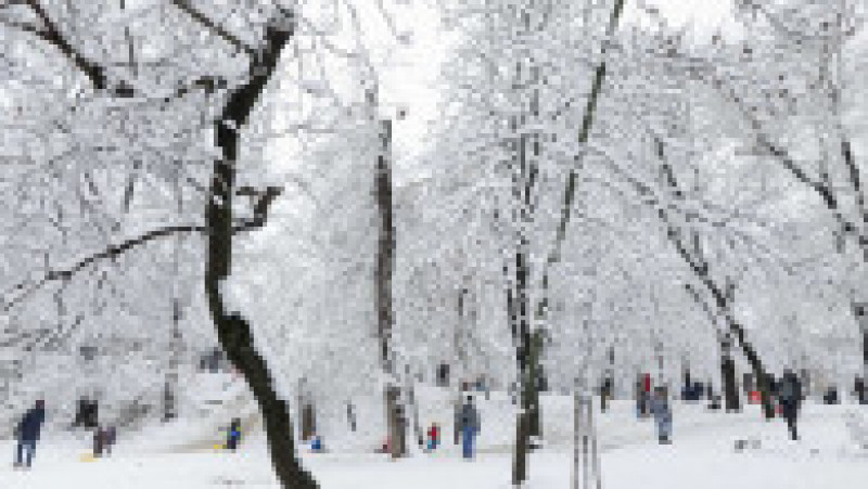 Persoane se bucură de zăpadă într-un parc din București, 20 ianuarie 2024. Inquam Photos / George Călin | Poza 2 din 18