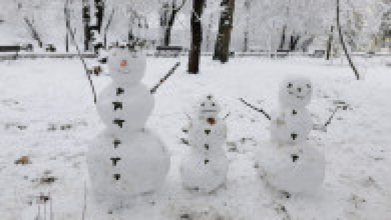 Persoane se bucură de zăpadă într-un parc din București, 20 ianuarie 2024. Inquam Photos / George Călin | Poza 1 din 18