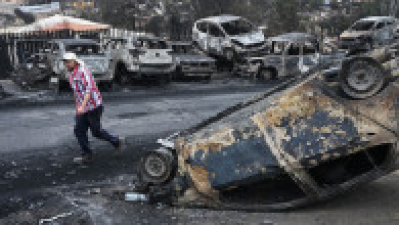 Cel puţin 64 de persoane şi-au pierdut viaţa în incendiile care fac ravagii în regiunea Valparaiso din centrul Chile. FOTO: Profimedia Images | Poza 9 din 9