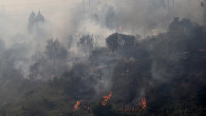 Cel puţin 64 de persoane şi-au pierdut viaţa în incendiile care fac ravagii în regiunea Valparaiso din centrul Chile. FOTO: Profimedia Images | Poza 6 din 9
