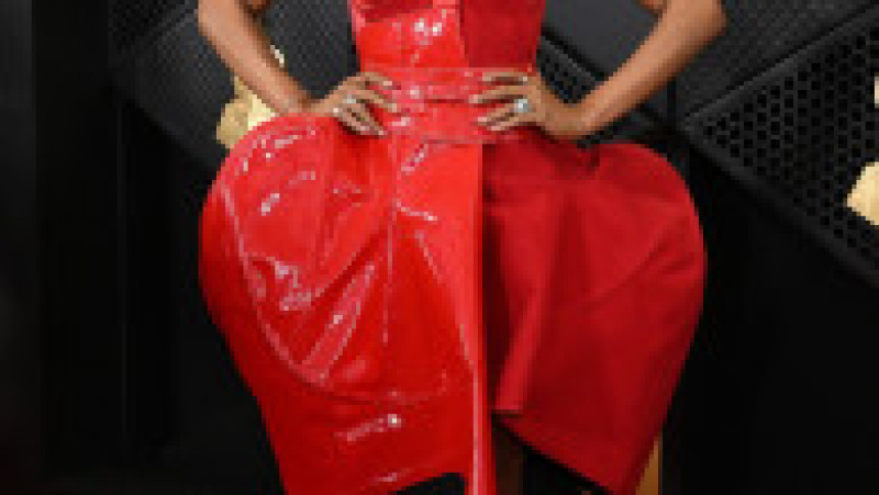 Premiile Grammy 2024. Cele mai spectaculoase ținute cu care au defilat vedetele pe covorul roșu. FOTO: Profimedia Images | Poza 41 din 50