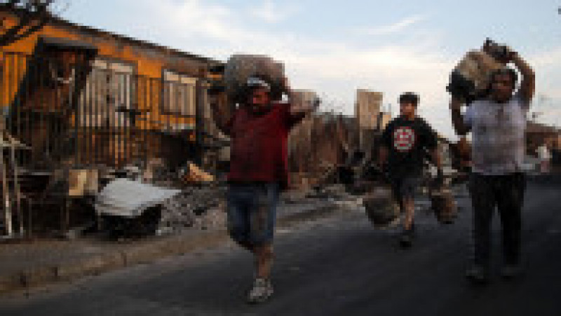 Chile se confruntă cu cea mai mare tragedie din 2010 încoace. Bilanțul morților în incendiile de pădure a crescut la 112. FOTO: Profimedia Images | Poza 6 din 23