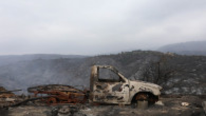 Chile se confruntă cu cea mai mare tragedie din 2010 încoace. Bilanțul morților în incendiile de pădure a crescut la 112. FOTO: Profimedia Images | Poza 17 din 23