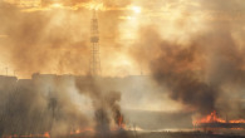 Incendiu de vegetație în Delta Văcărești din București. Foto: Inquam Photos / George Calin | Poza 5 din 7