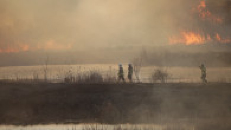Incendiu de vegetație în Delta Văcărești din București. Foto: Inquam Photos / George Calin | Poza 7 din 7