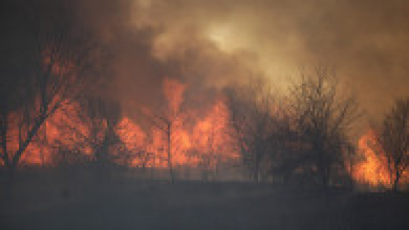 Incendiu de vegetație în Delta Văcărești din București. Foto: Inquam Photos / George Calin | Poza 2 din 7