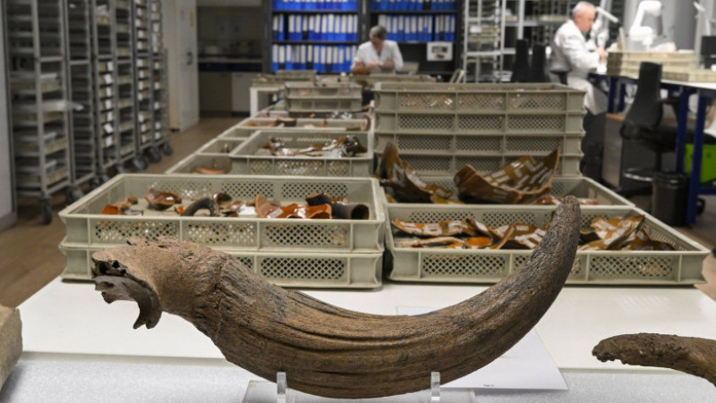Descoperire incredibilă la metroul din Bruxelles, unde oase de mamut care ar putea avea o vechime de până la 120.000 de ani au ieșit la iveală în timpul unei excavări. Foto: Profimedia Images