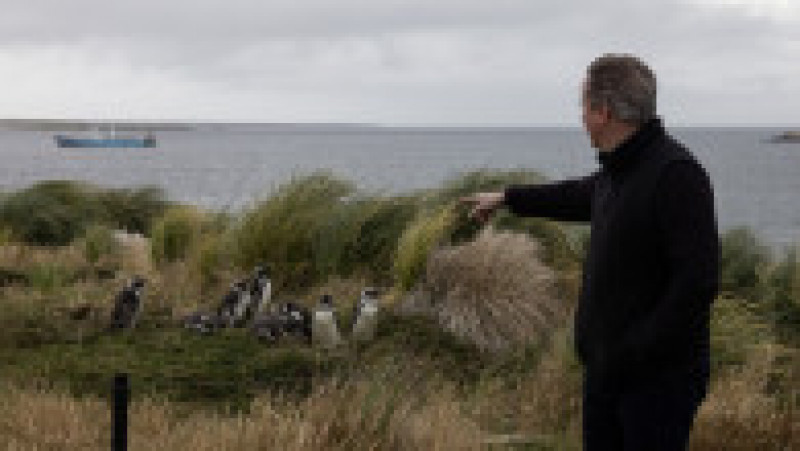 David Cameron în vizită în Insulele Falkland. Sursa foto Profimedia Images | Poza 52 din 54