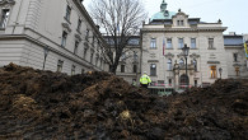 Fermierii cehi au aruncat bălegar pe străzile din Praga, ceea ce a condus la arestarea unei persoane. Foto: Profimedia | Poza 10 din 10
