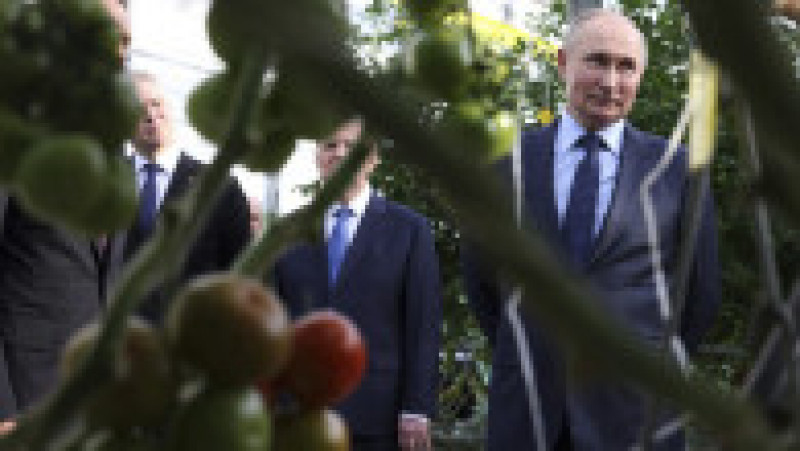 Vladimir Putin a vizitat sere de roșii. FOTO: Profimedia Images | Poza 5 din 6