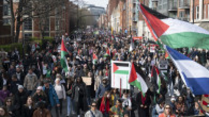 Foto: Profimedia Images | Poza 12 din 13