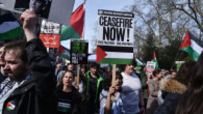 Foto: Profimedia Images | Poza 7 din 13