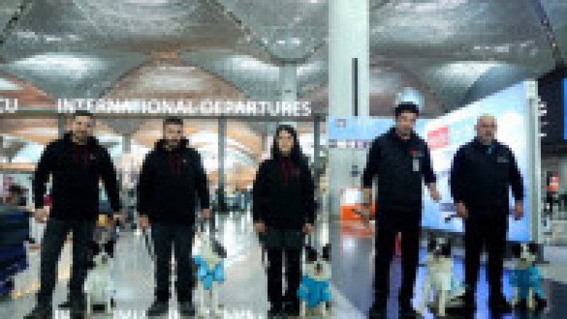 Câini de terapie sunt acum la dispoziţia călătorilor pe Aeroportul din Istanbul. Foto: Profimedia | Poza 6 din 8
