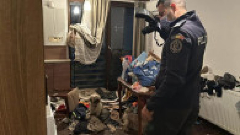 Poliţiştii din Ilfov au deschis un dosar penal pentru cruzimi faţă de animale, după ce au găsit mai mulţi câini şi o pisică într-un apartament din Bragadiru. Foto: IPJ Ilfov | Poza 3 din 3