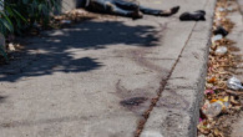 Peste 1500 de oameni au fost ucişi în escaladarea violenţelor dintre bandele din Haiti de la începutul acestui an, arată un raport al Oficiului ONU pentru drepturile omului de la Geneva, citat vineri de dpa. Sursa foto Profimedia Images | Poza 17 din 36