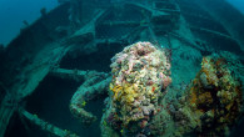 Navele din cimitirul subacvatic Gallipoli stau pe fundul apei de peste 100 de ani. Sursa foto: Profimedia Images | Poza 41 din 48