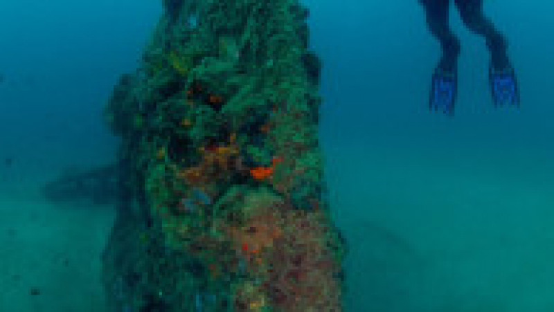 Navele din cimitirul subacvatic Gallipoli stau pe fundul apei de peste 100 de ani. Sursa foto: Profimedia Images | Poza 42 din 48