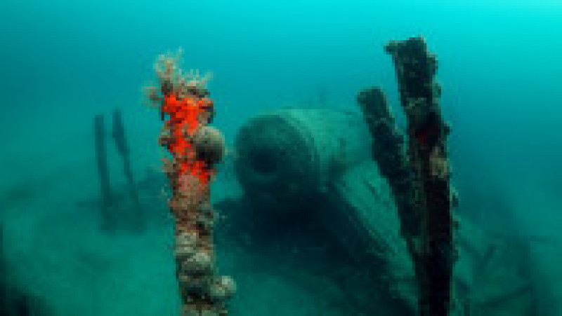 Navele din cimitirul subacvatic Gallipoli stau pe fundul apei de peste 100 de ani. Sursa foto: Profimedia Images | Poza 9 din 48