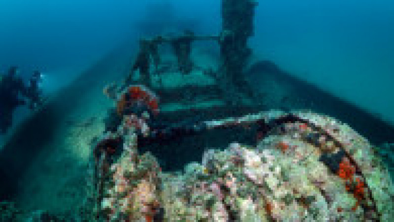 Navele din cimitirul subacvatic Gallipoli stau pe fundul apei de peste 100 de ani. Sursa foto: Profimedia Images | Poza 4 din 48