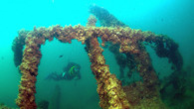 Navele din cimitirul subacvatic Gallipoli stau pe fundul apei de peste 100 de ani. Sursa foto: Profimedia Images | Poza 17 din 48