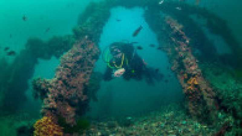 Navele din cimitirul subacvatic Gallipoli stau pe fundul apei de peste 100 de ani. Sursa foto: Profimedia Images | Poza 18 din 48