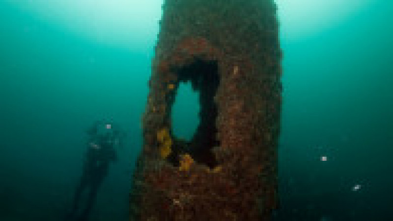 Navele din cimitirul subacvatic Gallipoli stau pe fundul apei de peste 100 de ani. Sursa foto: Profimedia Images | Poza 25 din 48