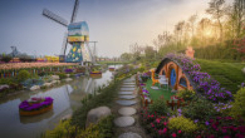 Parcul Holland Flower din Dafeng, China FOTO: Profimedia Images | Poza 7 din 20