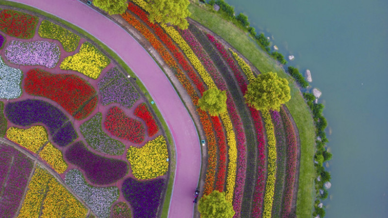 Parcul Holland Flower din Dafeng, China FOTO: Profimedia Images