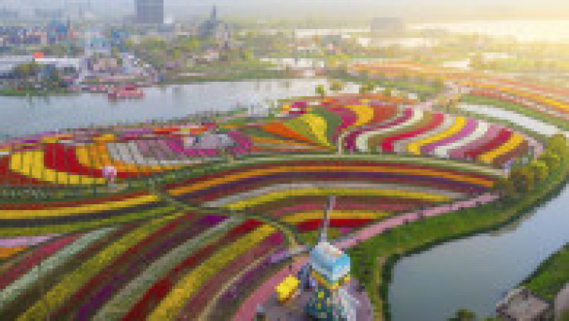 Parcul Holland Flower din Dafeng, China FOTO: Profimedia Images | Poza 17 din 20