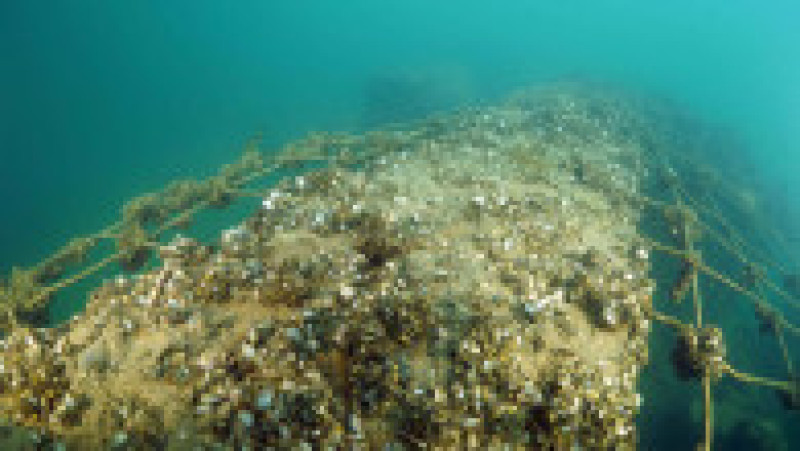 Ruinele vechiului sat Savasan, parțial inundat. Foto: Profimedia | Poza 9 din 11