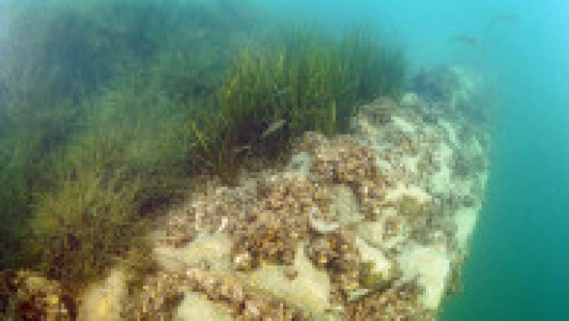 Ruinele vechiului sat Savasan, parțial inundat. Foto: Profimedia | Poza 5 din 11