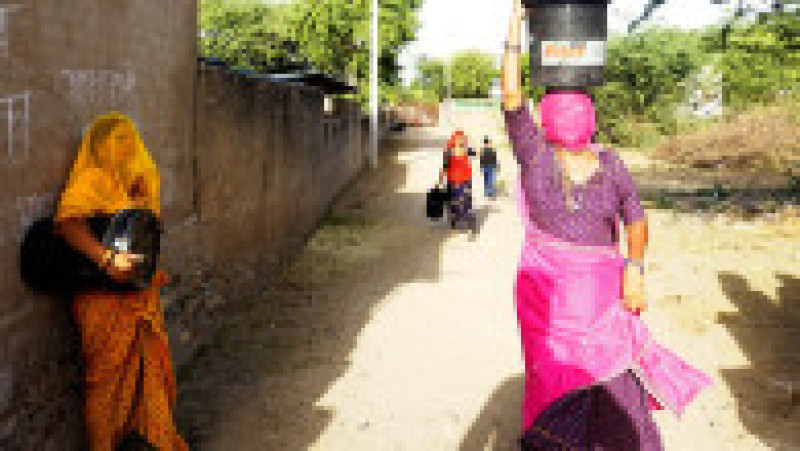 India este lovită de un val de căldură fără precedent. FOTO: Profimedia Images | Poza 1 din 19